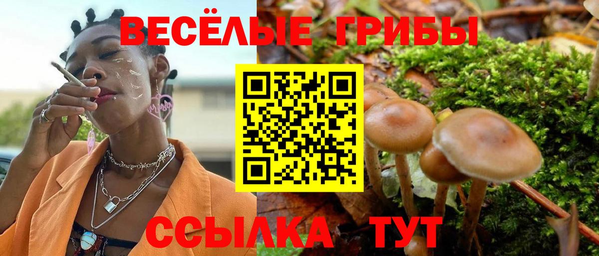Псилоцибиновые грибы ЛСД Кимовск