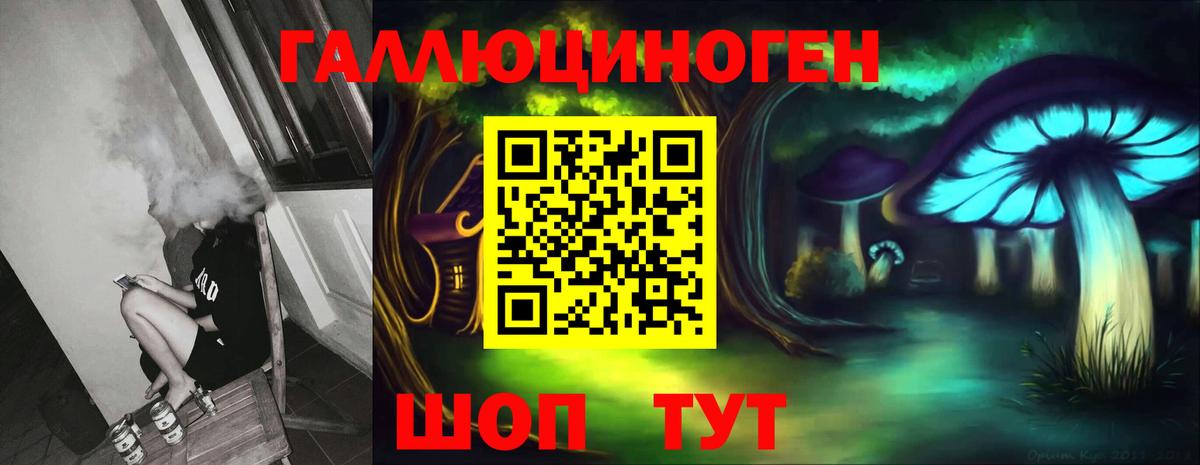 Псилоцибиновые грибы мицелий  Вход с VPN  Кимовск  Псилоцибиновые грибы Psilocybine cubensis 