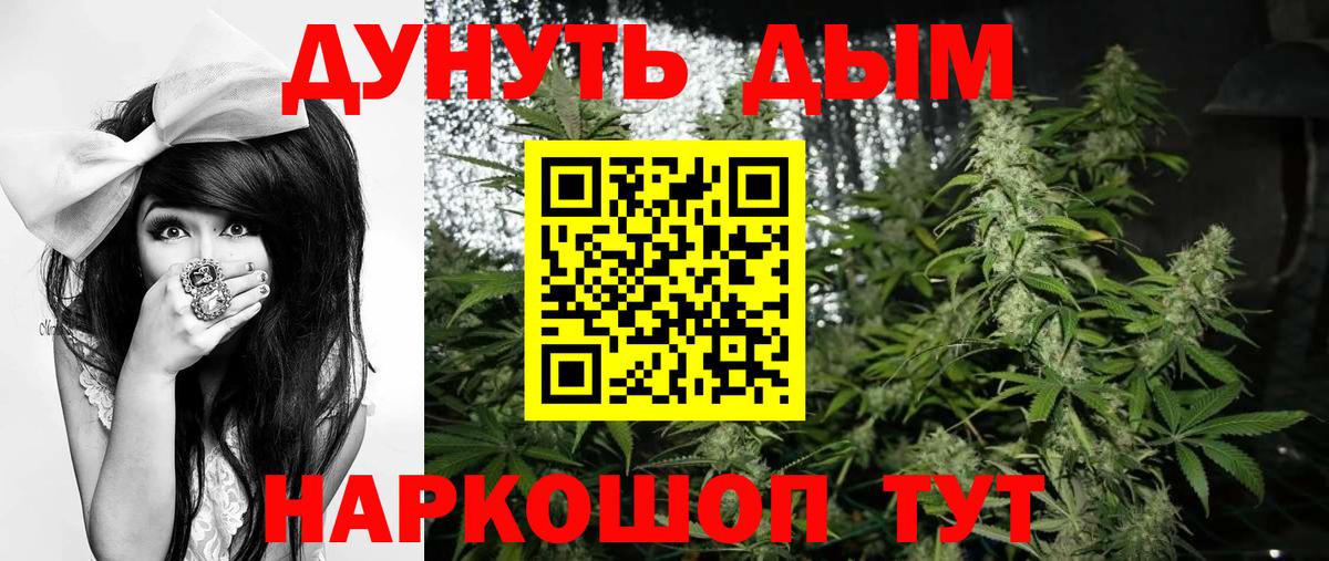 Кимовск  Каннабис гибрид  Каннабис THC 21%  Марихуана VHQ  Вход с VPN 